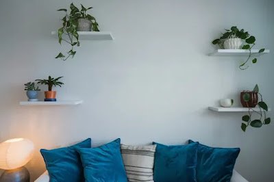 Why Indoor Plants are the New Home Decor Trend: Discover 5 Must-Haves!