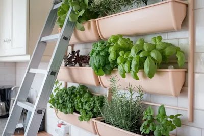 Urban Hybrid Home-Garden Spaces: Redefining City Living